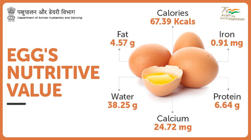 All About Eggs Vikaspedia   Egg Nutrition 